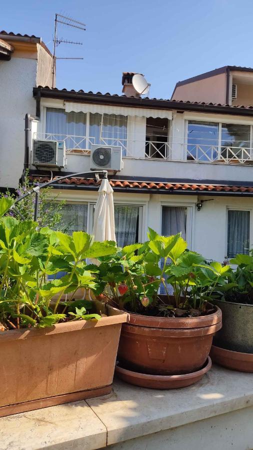 In Porec/istrien 33353 Apartment *